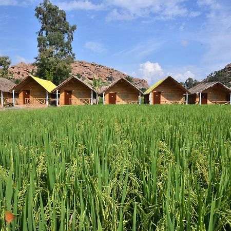 Dream Mango Hampi Hotel ภายนอก รูปภาพ